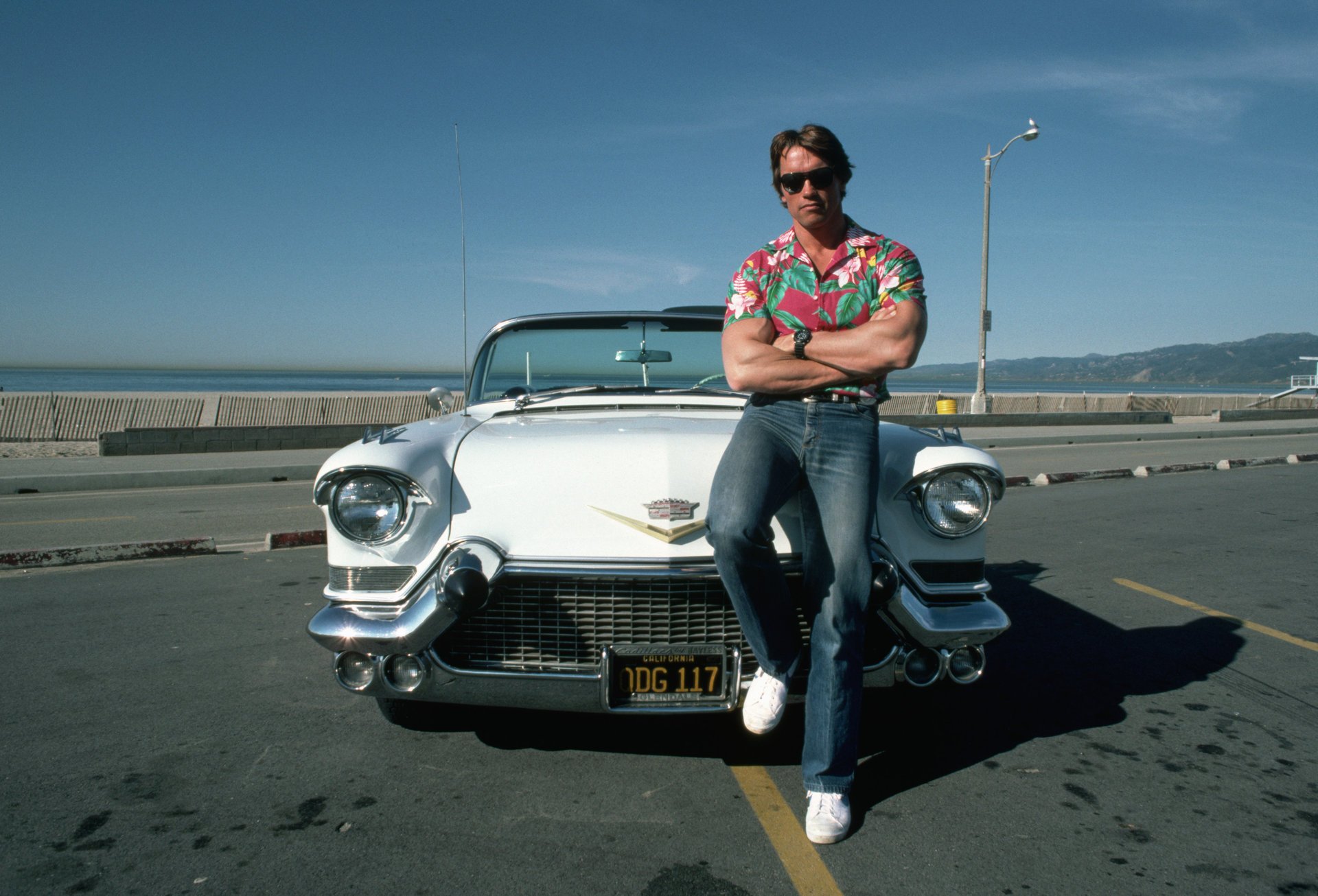 arnold schwarz negger schwarzenegger farbiges hemd kaa cooles auto sonniger tag autos hübsch brille jeans pose weißes auto cabrio schatten spur auto uhr pkw transport auto jock