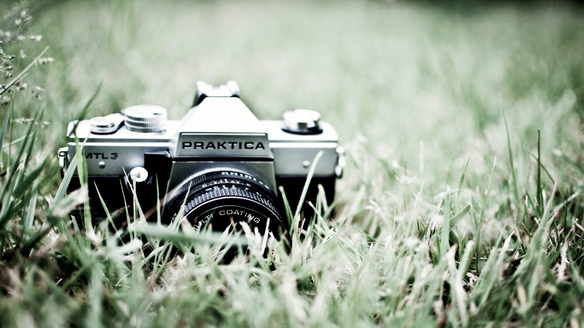 fond herbe praktica appareil photo objectif