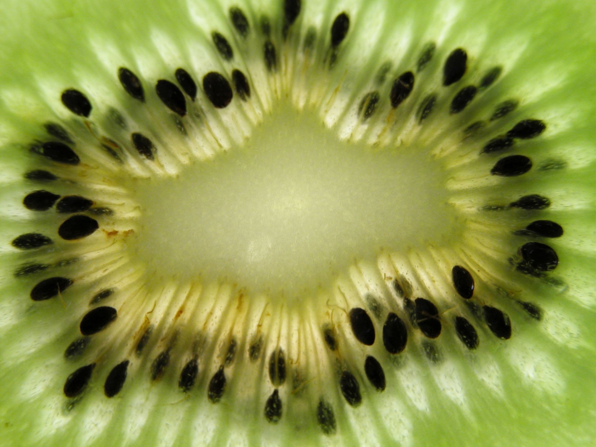 granos negros comida fruta kiwi