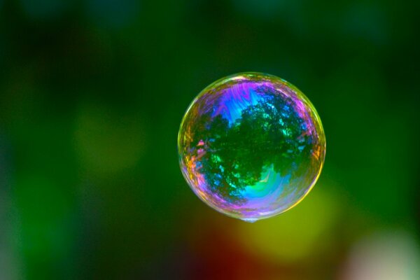 Incredibile riflesso della bellezza della natura in una bolla di sapone