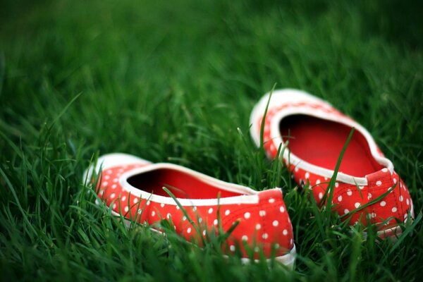 Zapatillas de ballet rojas en guisantes blancos en la hierba