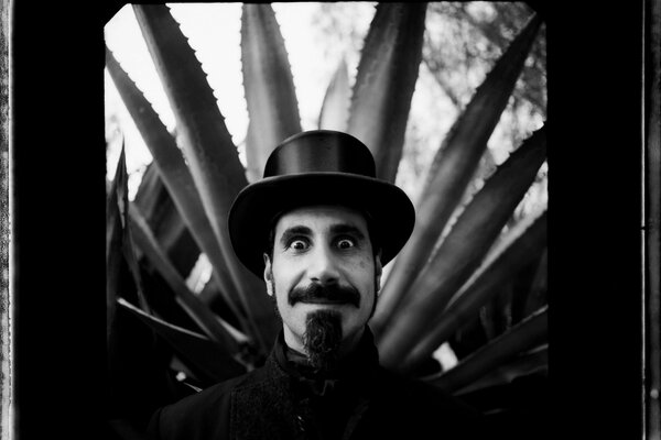 Foto graciosa de un hombre con bigote en el fondo de un cactus