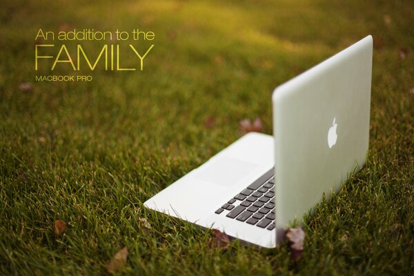 Apple laptop on the grass