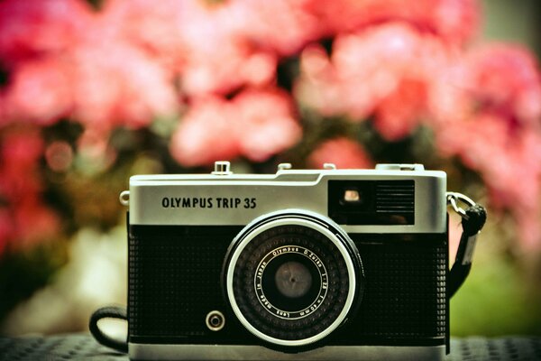 Фотоаппарат Олимп с макро об ективом хорошо снимает природу и цветы