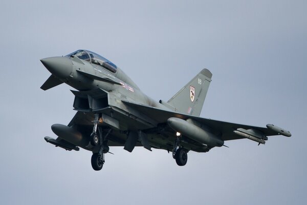 Eurofighter typhoon multi-purpose fighter in the air