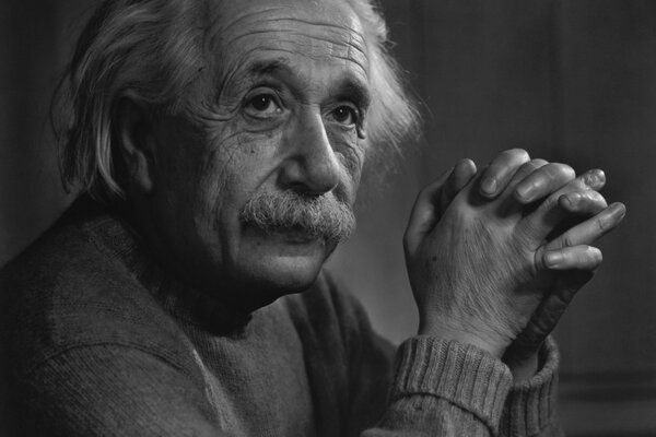 Porter del geniale scienziato Einstein invecchiato