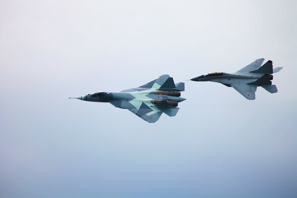 Elegant fighters against a clear sky