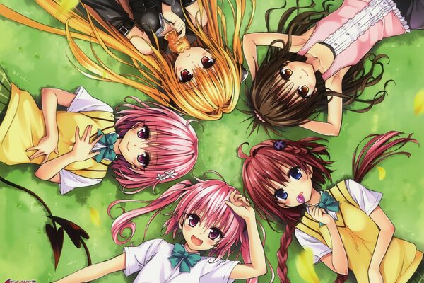 Five anime heroines lying on the green grass