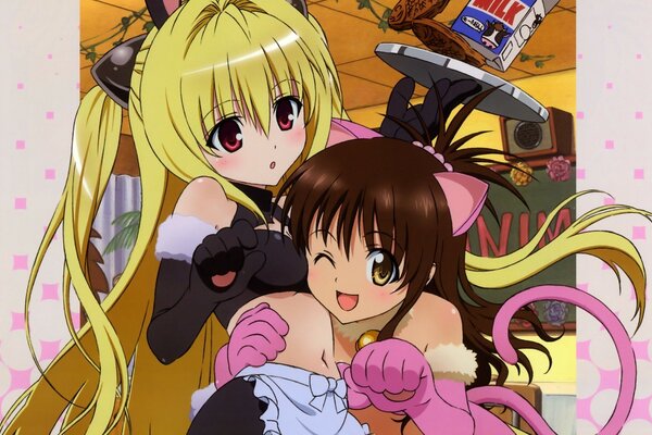 Anime picture with two girls, one of whom winks