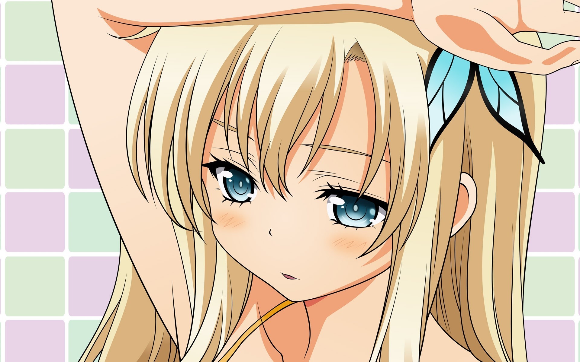 kashiwazaki sena