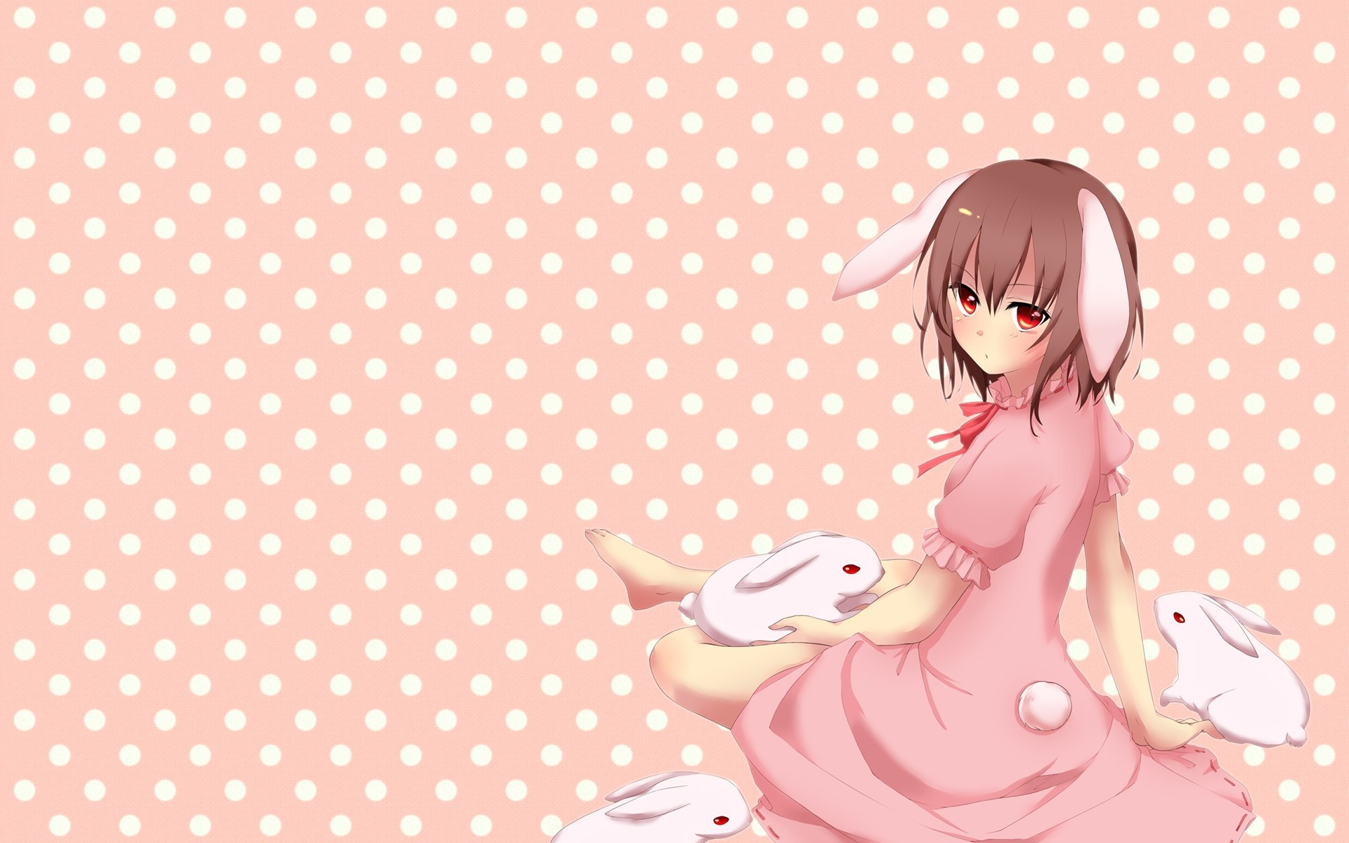 hort hair dress bunnygirl red eyes hare rabbit animals animal ears tail brown hair