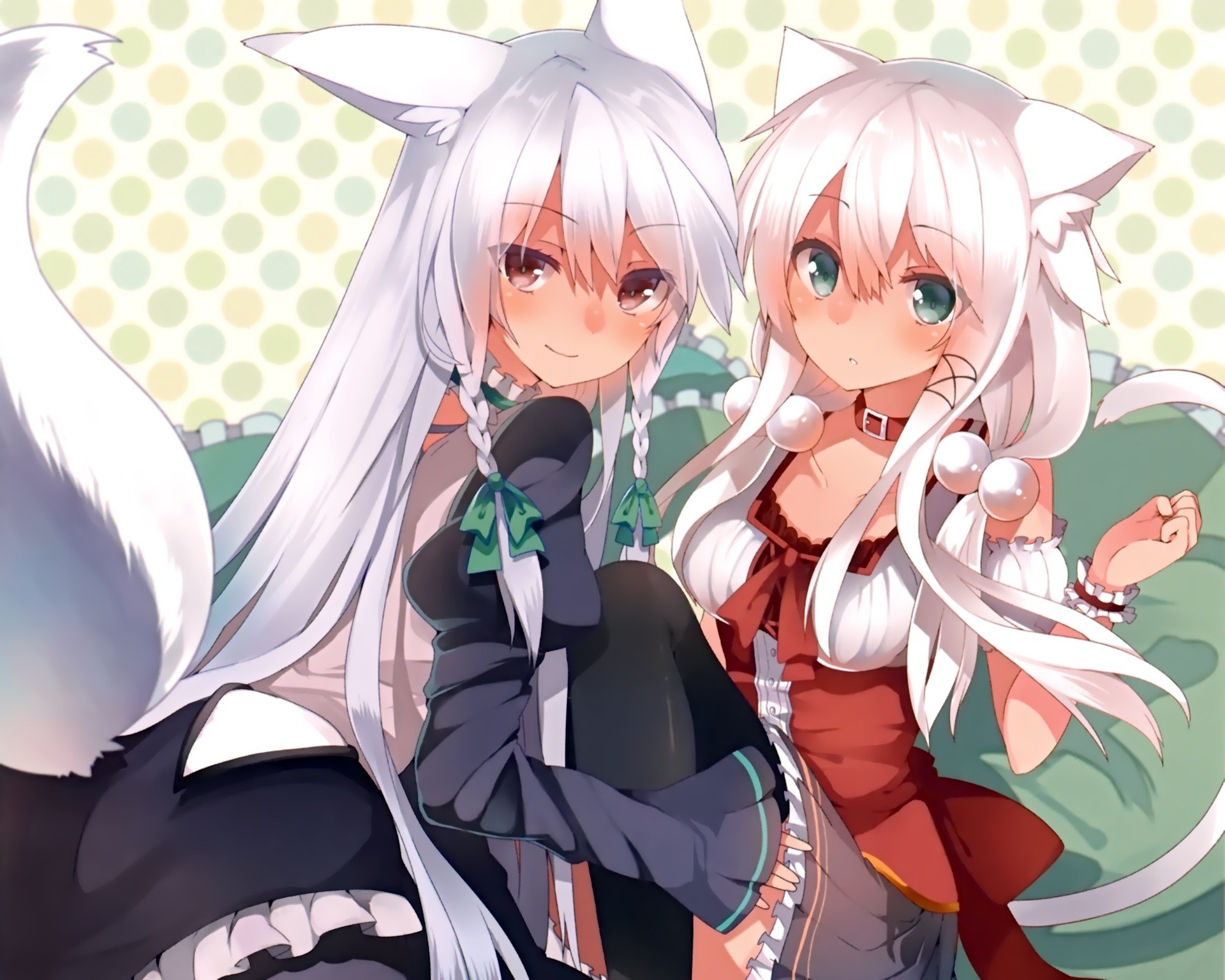 tagme long hair 2girls white hair thighhighs catgirl animal ears tail