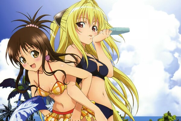 Dos chicas de anime en la playa