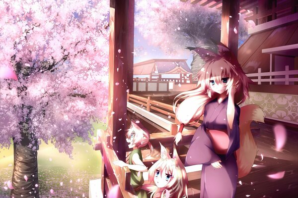 The kitsune family watches the cherry blossom