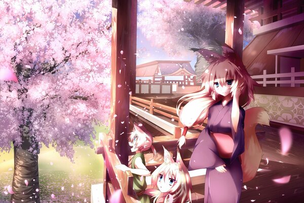 La famille kitsune observe la floraison des cerisiers