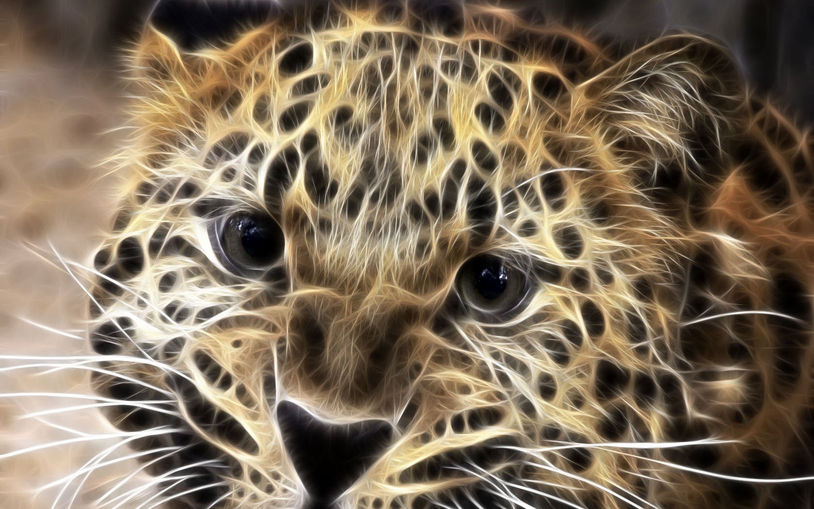 cat s eye evil beast leopard animals predators look cat eyes macro