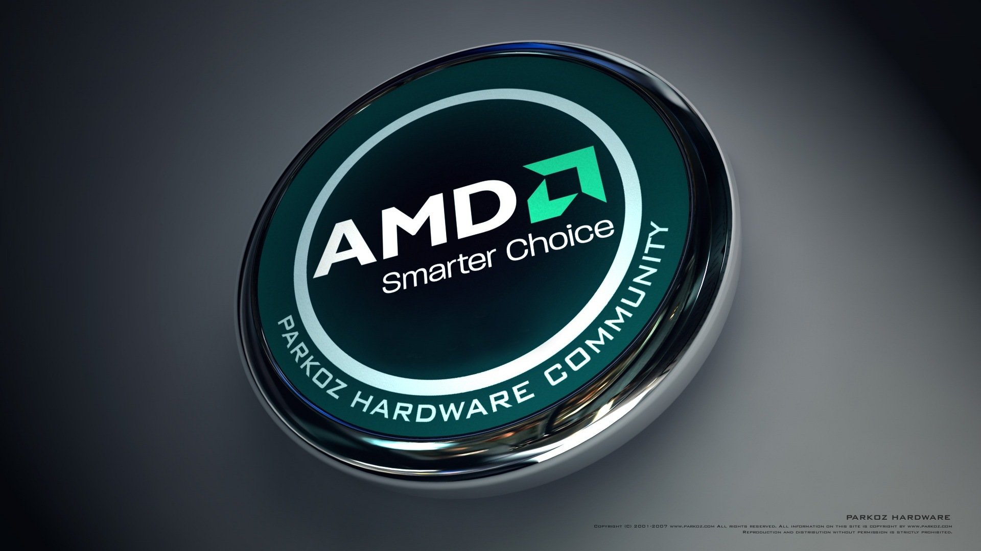 amd dragon processor