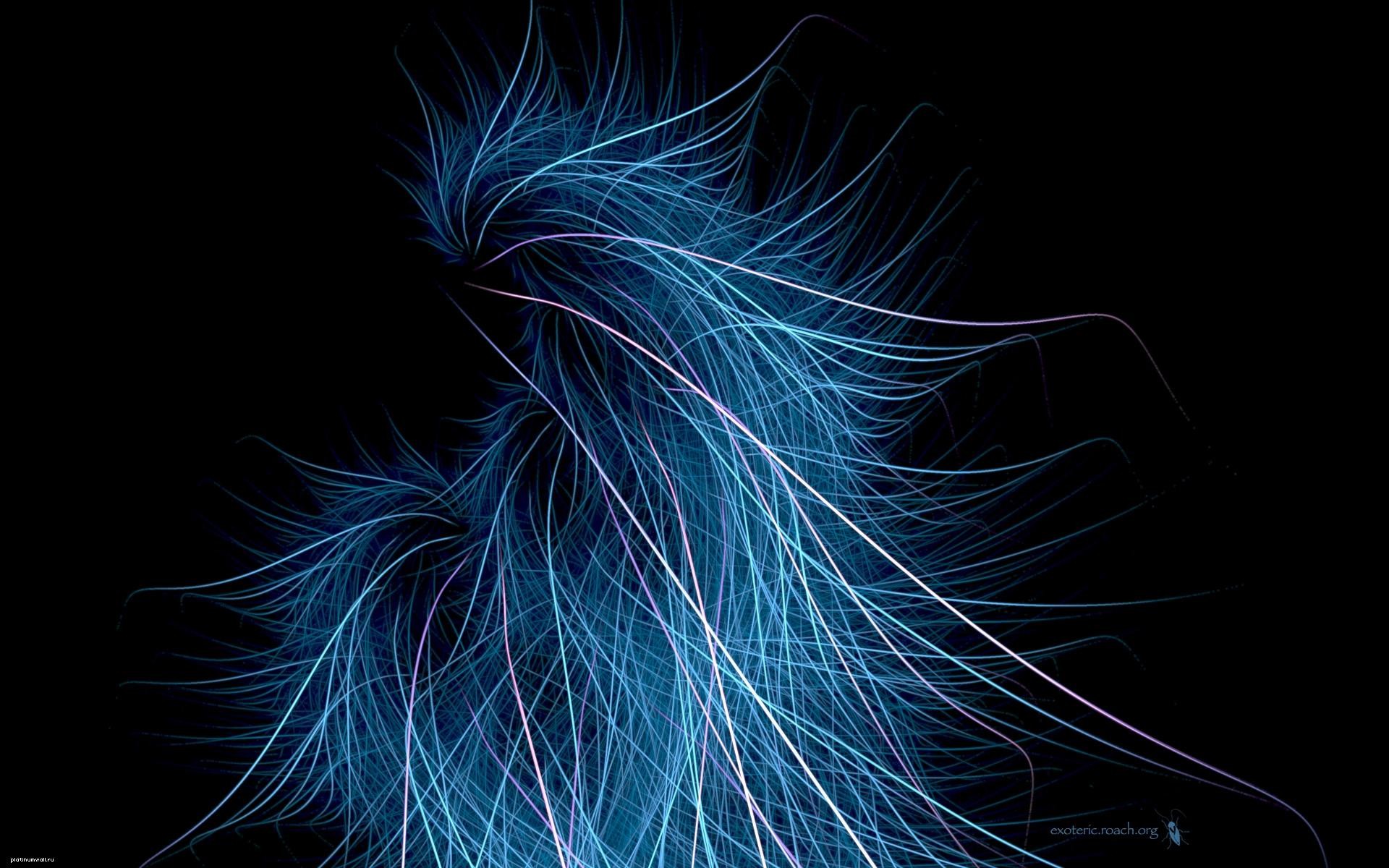 black background blue feather