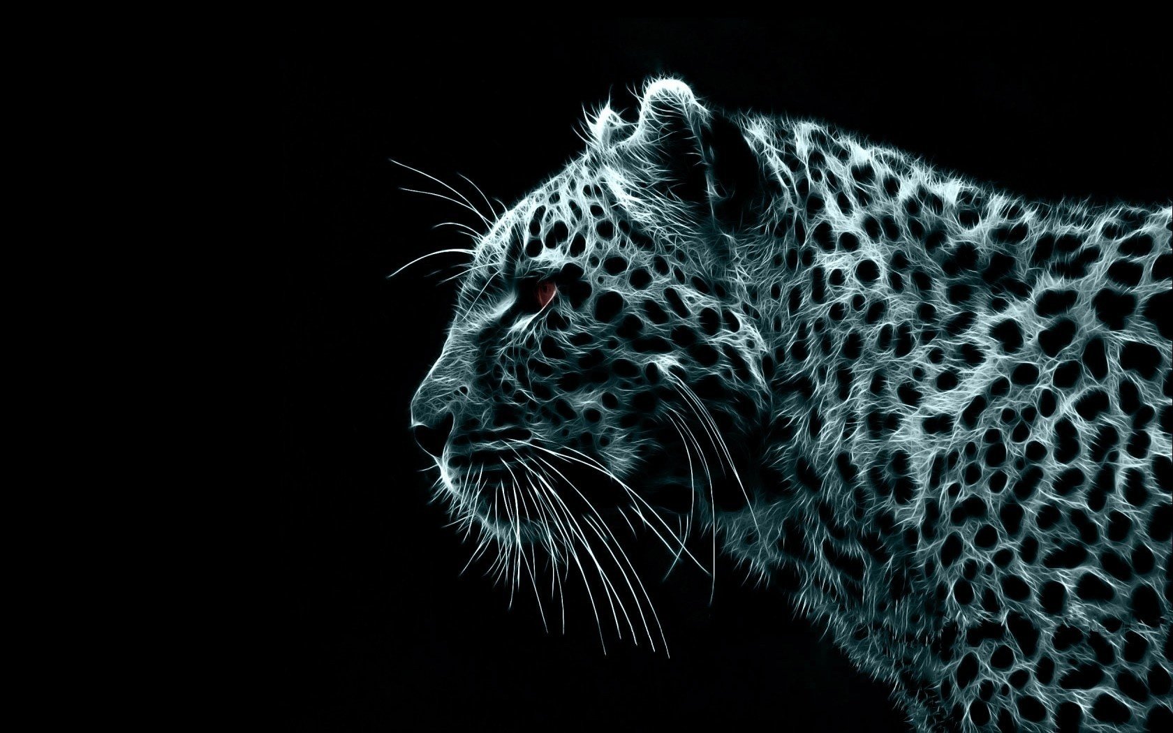 leopardo sguardo formidabile in bianco e nero animali predatori sguardo felino