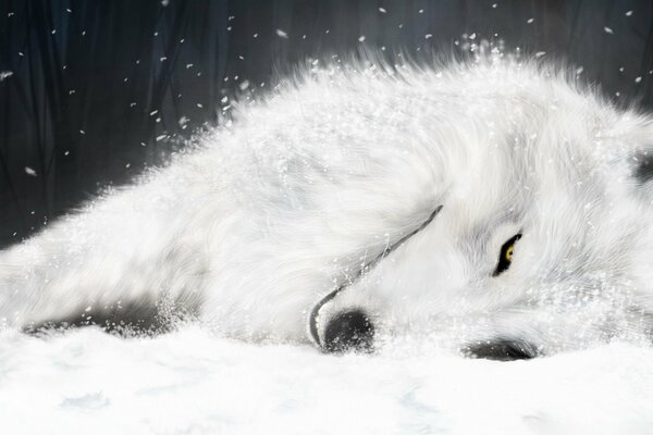 Wilk śnieżnobiały płaszcz zimowy