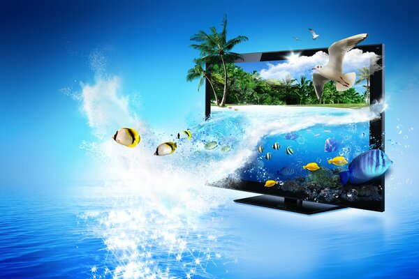 Monitor with a seagull, with fish, palm trees and the sea