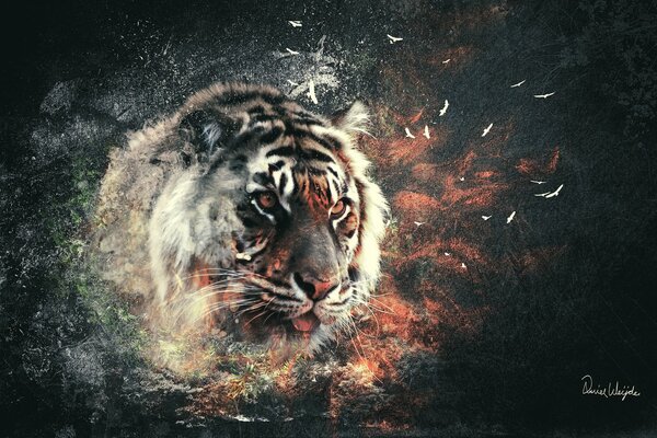 Museau de tigre aux yeux expressifs