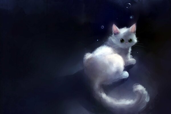 Chat blanc dans les bulles dans la nuit