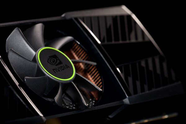 Nvidia-Grafikkarte von qeforce gtx 590 auf grauem Hintergrund