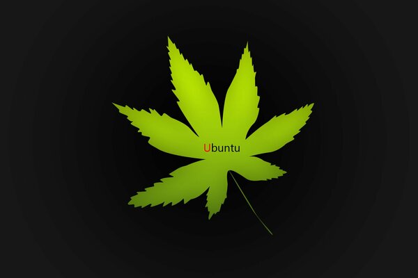 Minimalistyczny zielony liść ubuntu na czarnym tle
