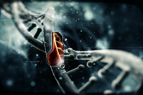 Diagramma schematico del nano DNA nello spazio