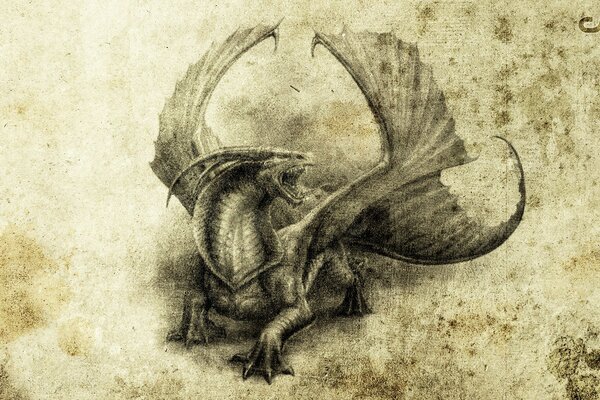 Dragon. fantasy. pencil drawing. black and white dragon