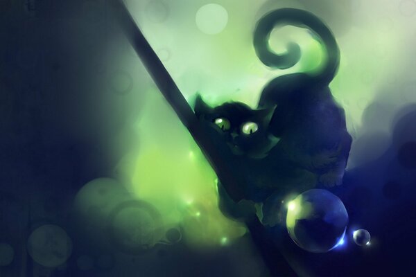 Schwarze Katze mit grünen Augen und Blasen