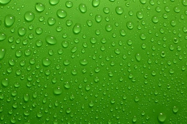 Goccioline d acqua su sfondo verde