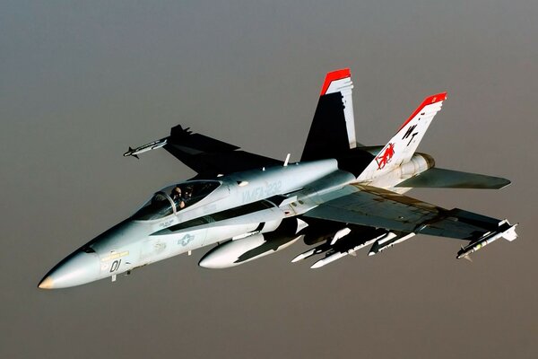 Military fighter - predatory and beautiful