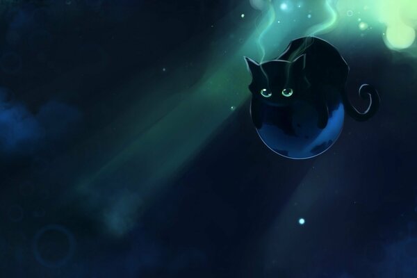 Schwarze Katze auf einem Ball in der Nacht