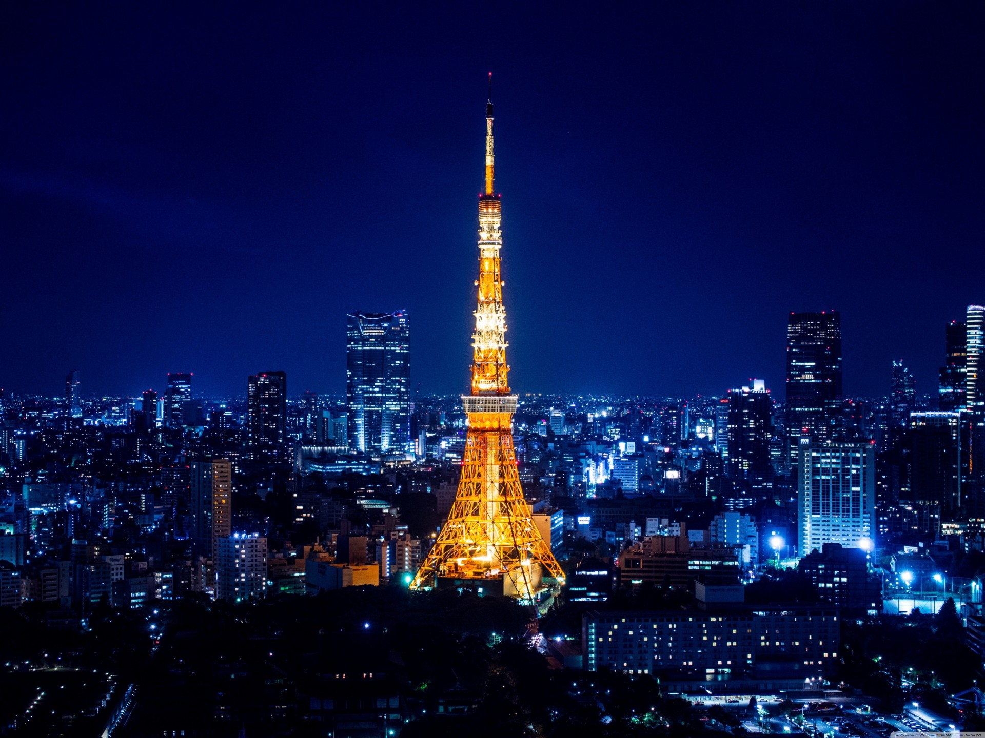 tokio tokyo tower budynek noc reflektory miasto