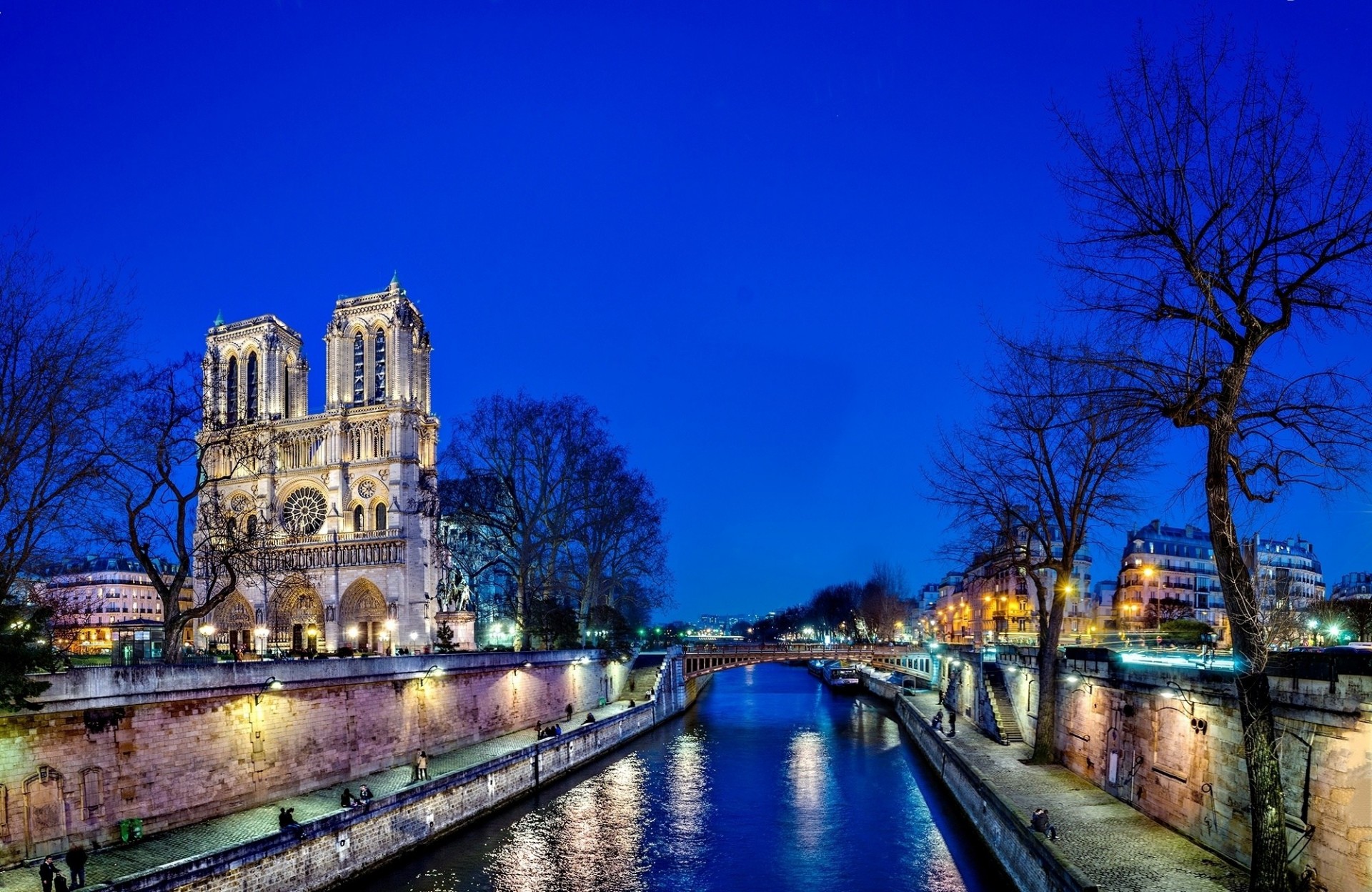 noche notre dame de paris río sena francia árboles catedral de notre dame parís ciudad reflexión luz qatar airways notre dame de paris agua puente