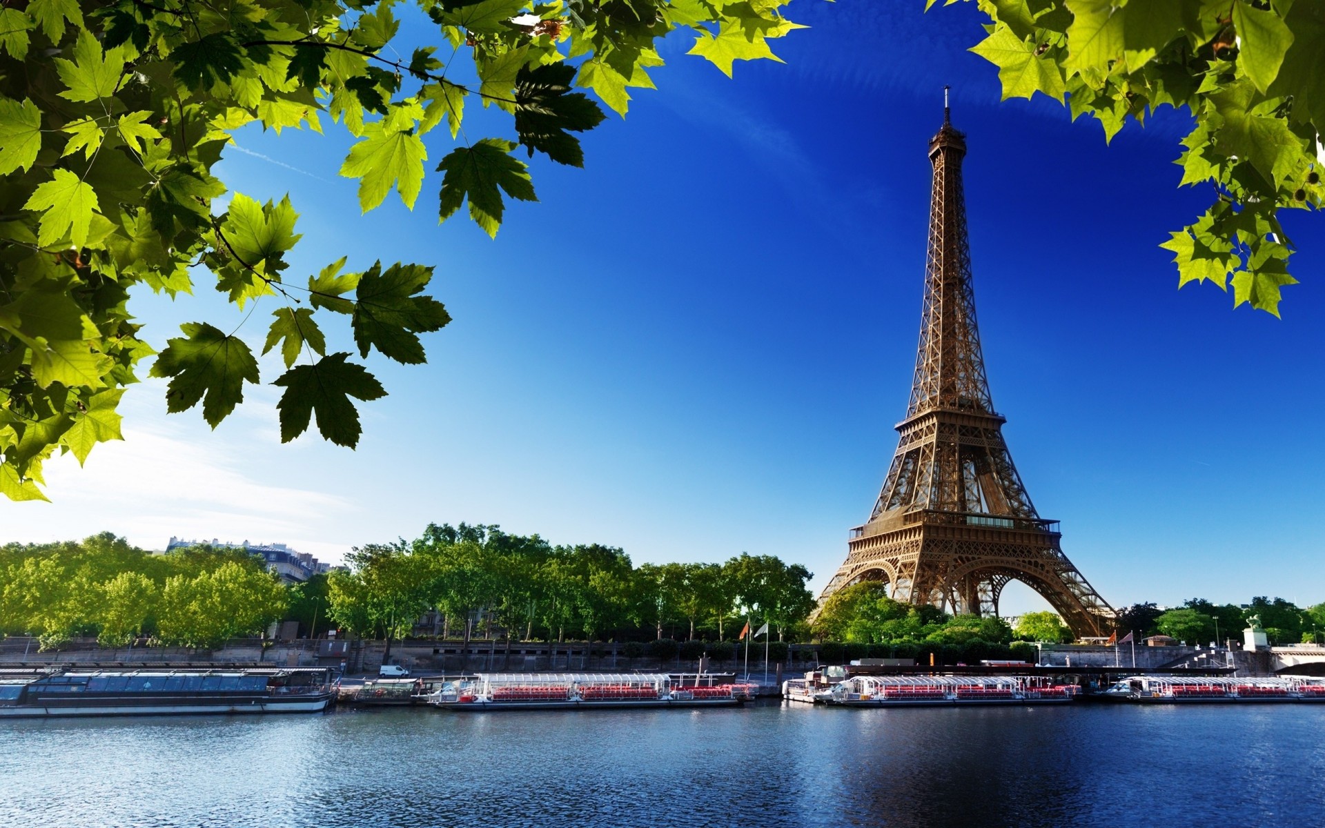 river france paris tree eiffel tower beach