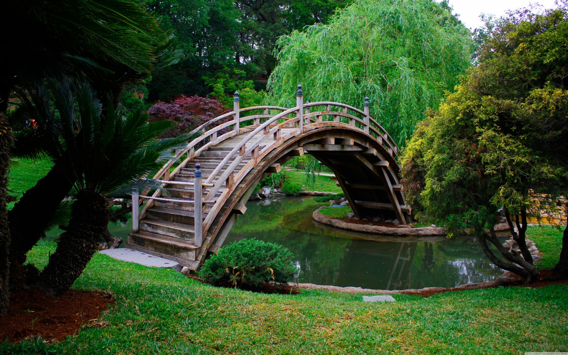 pont étang japonais jardin japon