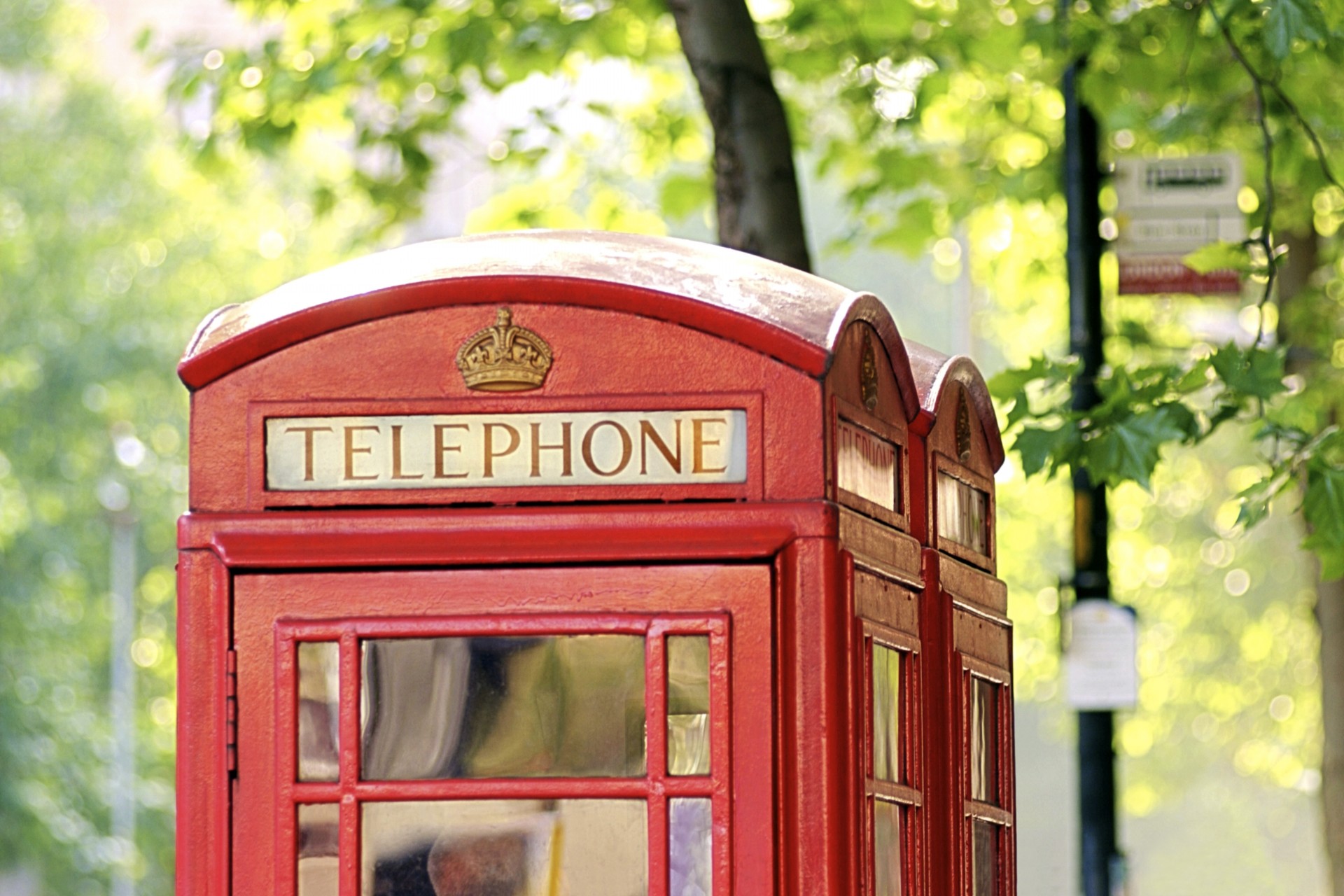 england phone booth london tree town