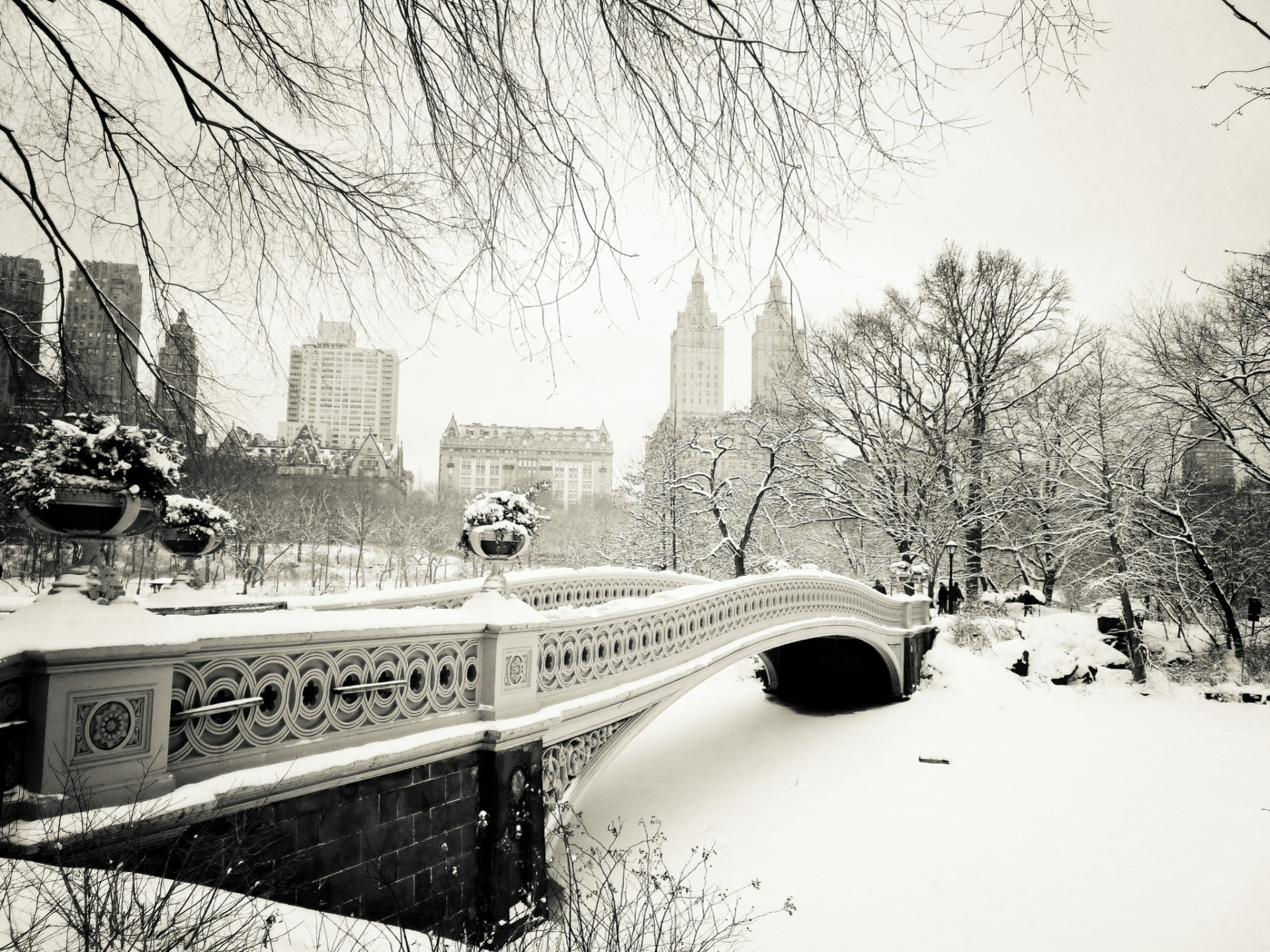 natura new york inverno alberi città neve stati uniti central park