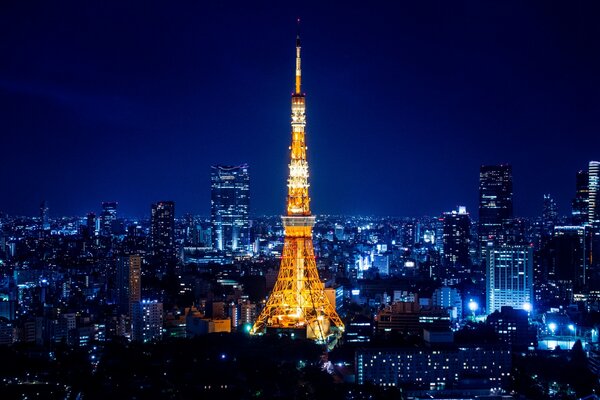 Piękny widok na Tokyo Tower