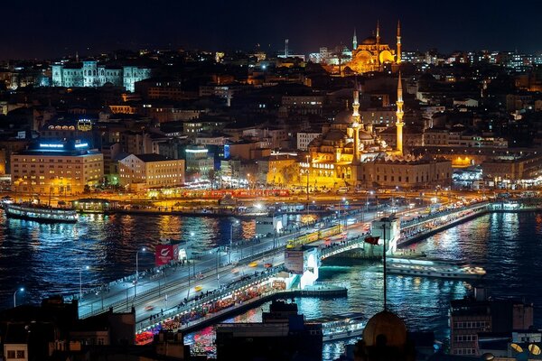 The night city and the bridge over the river