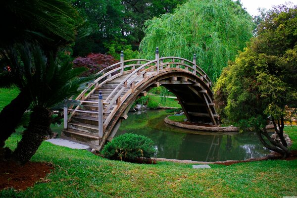 Jardin japonais avec Moss à travers l étang