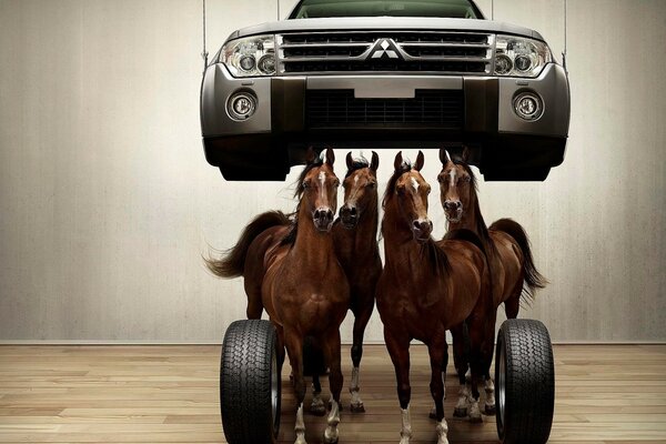 Horses in the car on the parquet