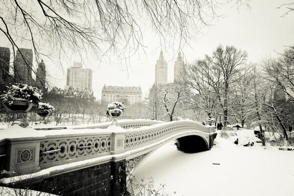 Snowy New York last winter