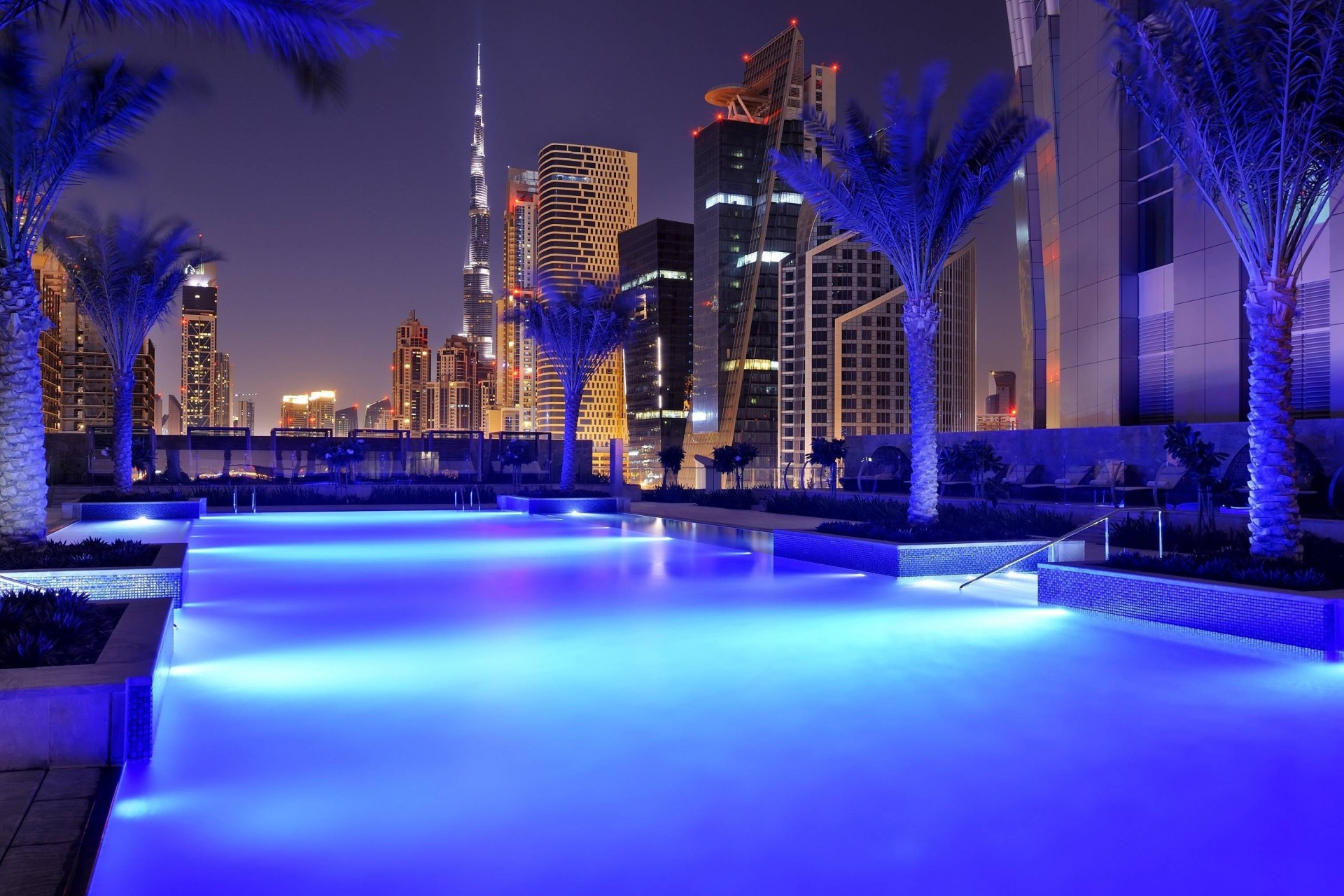 dubai marriot lettini alberi palme. città notte piscina hotel naght casa