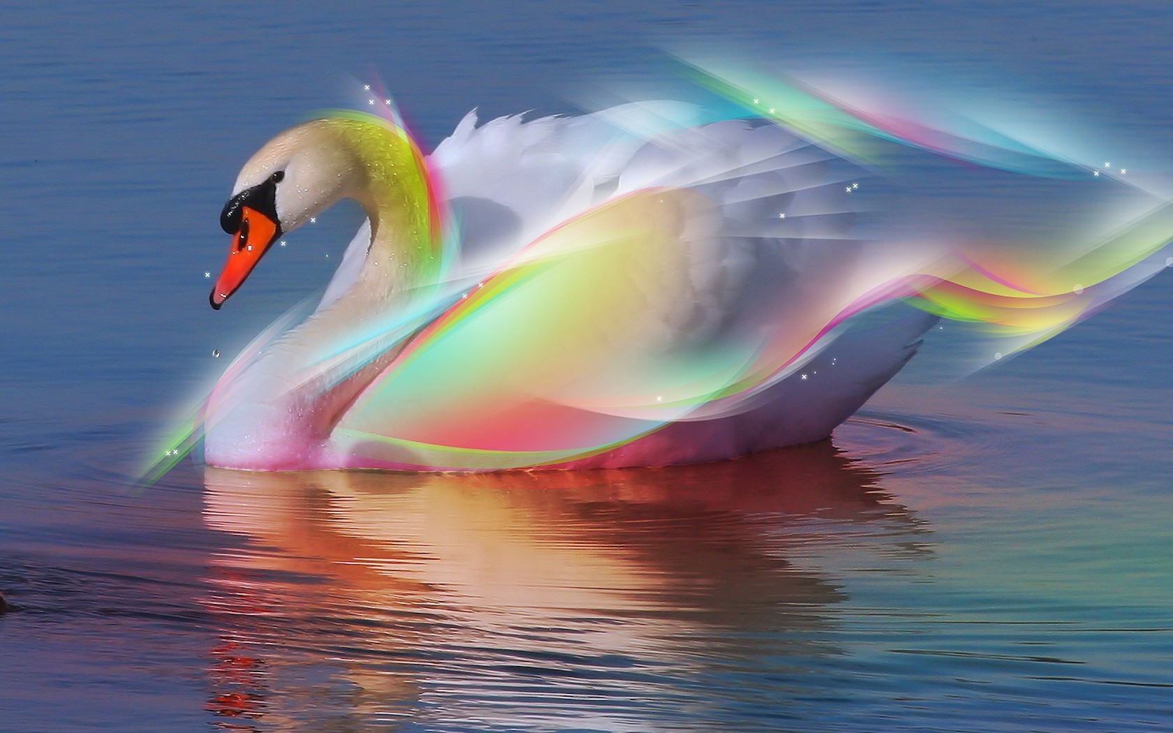 cygne arc-en-ciel eau