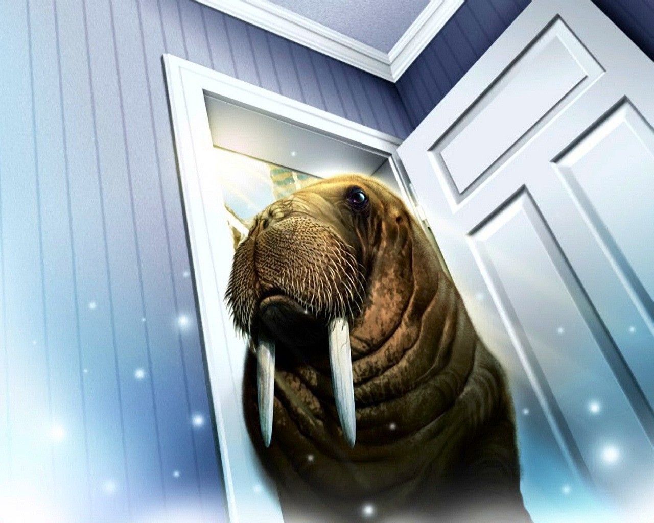 walrus doors room