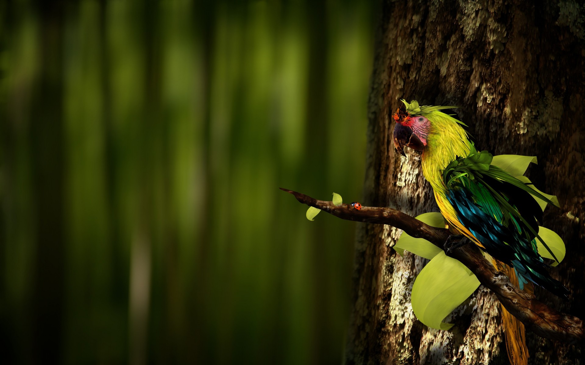 perroquet branche coléoptère